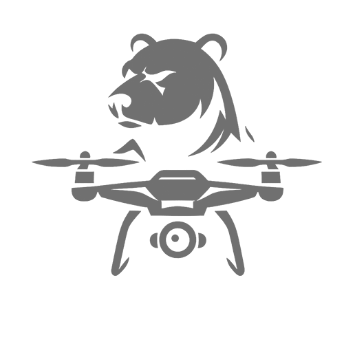 bearOview